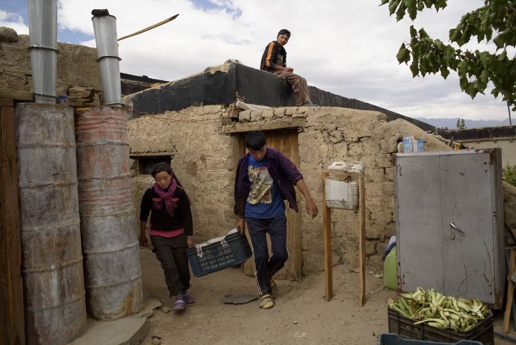 The vegetables are carried and stored in a food cellar.