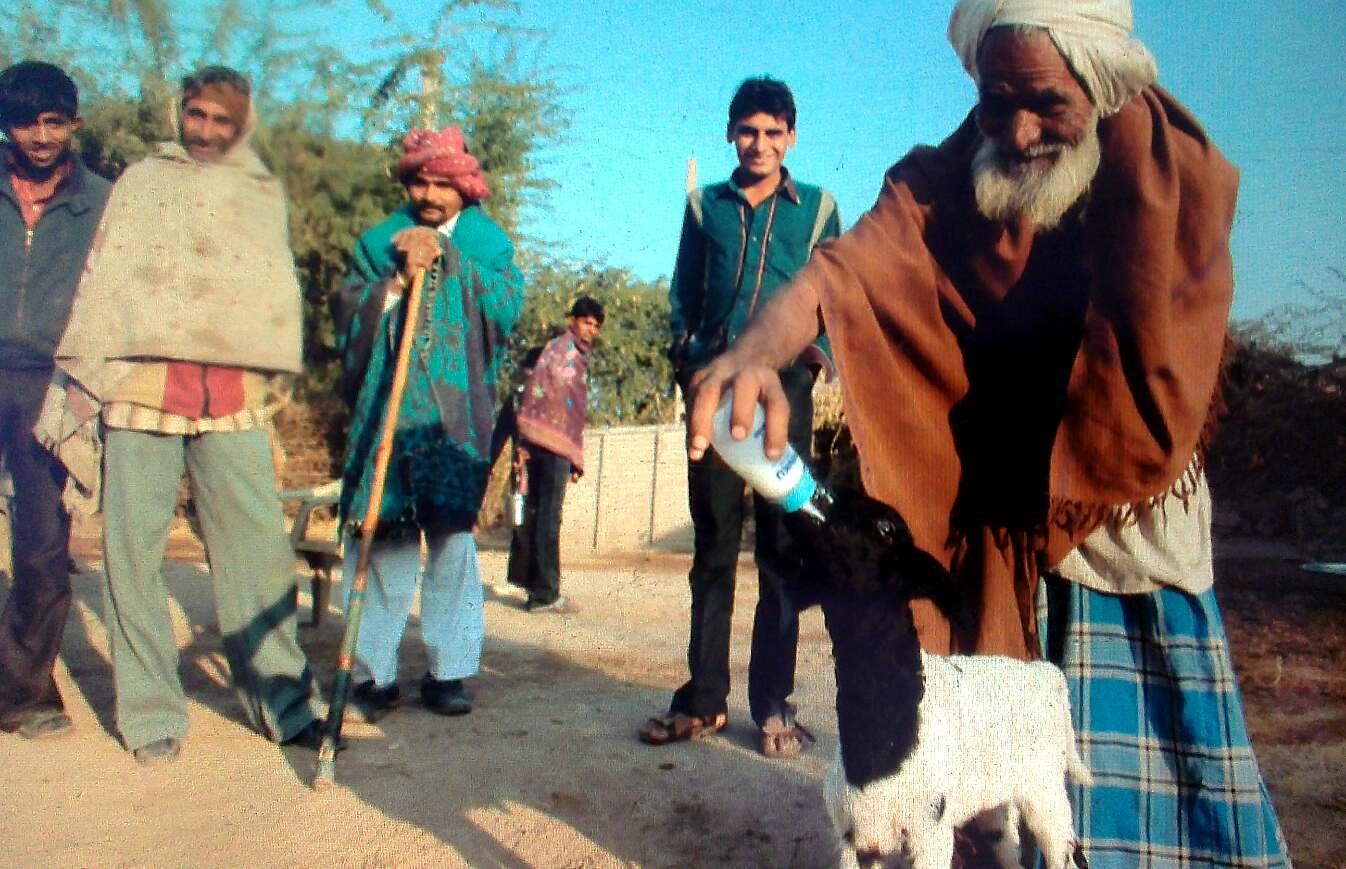 Day 3 village chief and his lamb