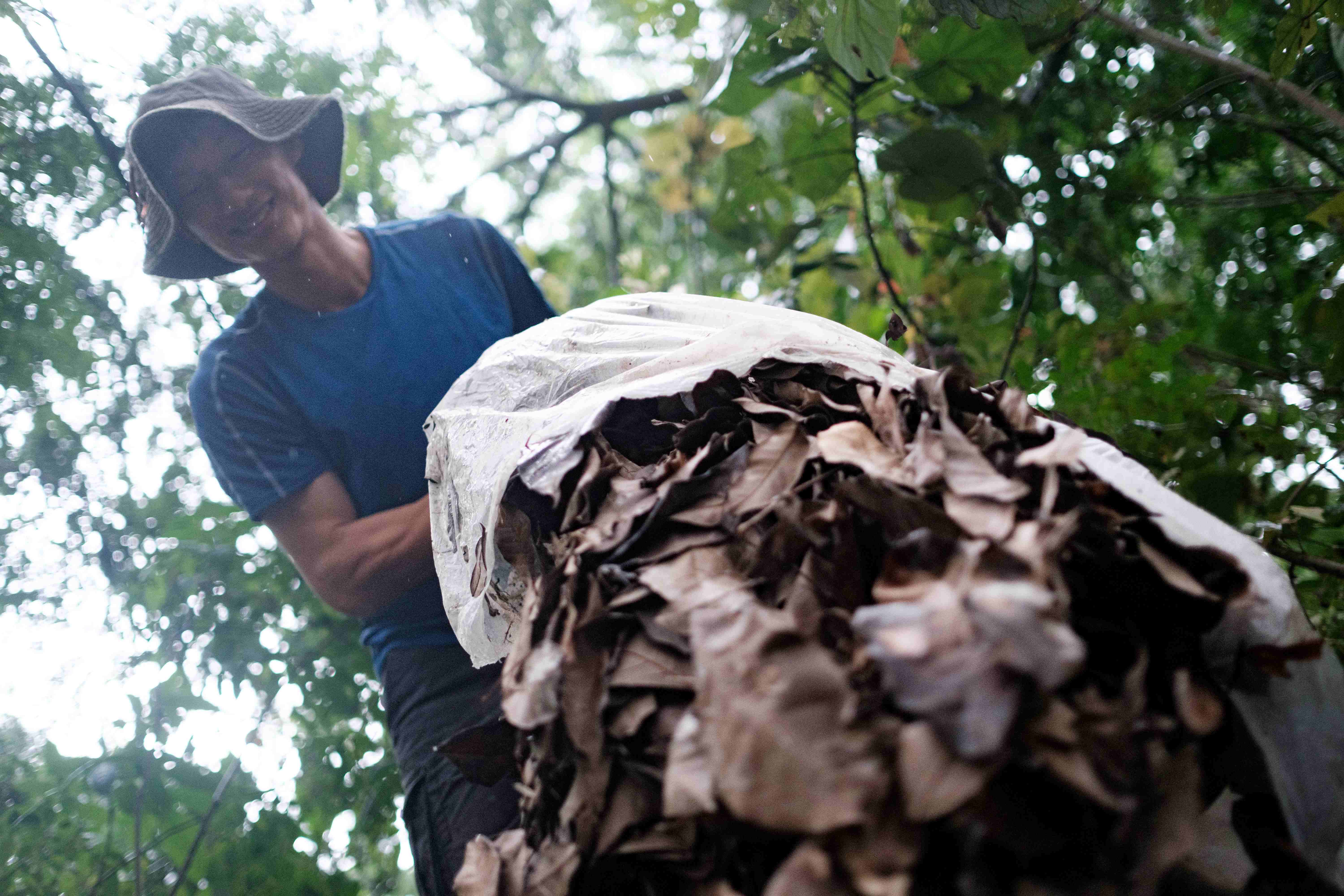 Wild About Gardening: The Green Volunteers of Pasir Ris