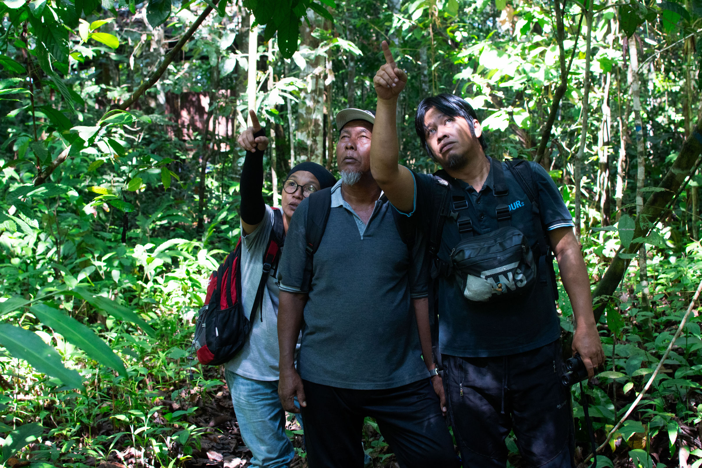 Protecting Kinabatangan